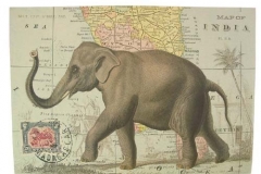 Elephant-2